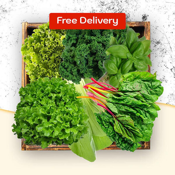 Free-Delivery