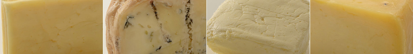 Artisanal  and Vegan Dairy Products