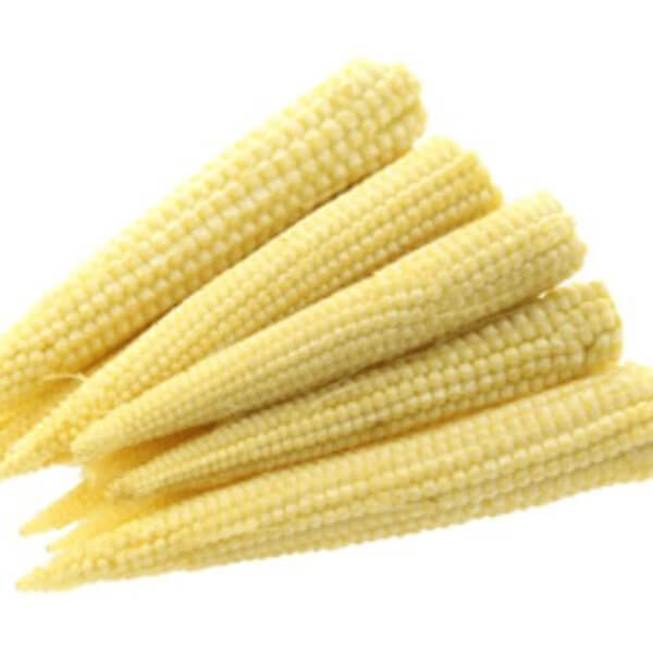 Babycorn
