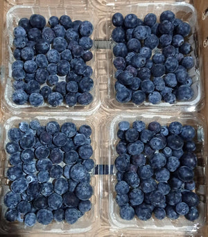 Blueberry Box Pre Order