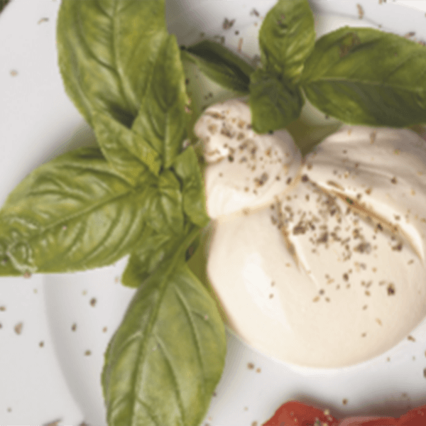 Burrata