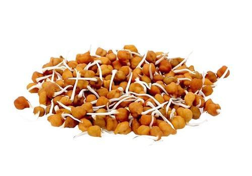 Chana Sprouts