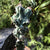 Cereus peruvianus Monstrosus