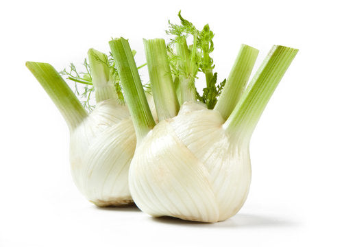 Fennel bulb
