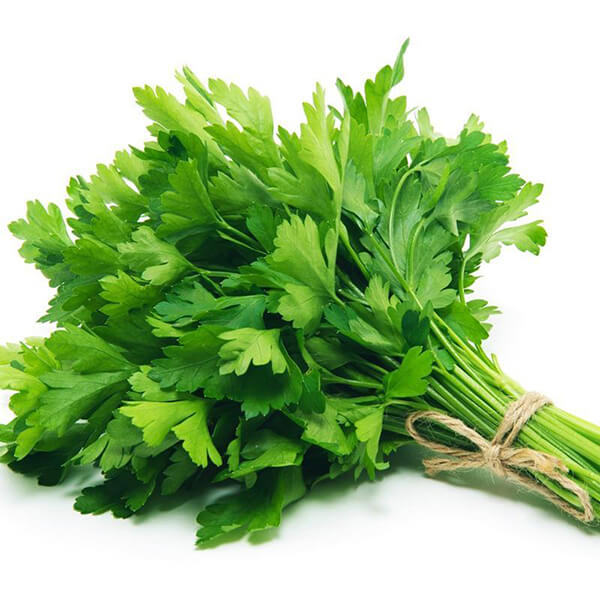Flat-Leaves-Parsley