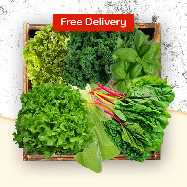 Harvest Box Subscription 500g x 4 weeks - Free Delivery
