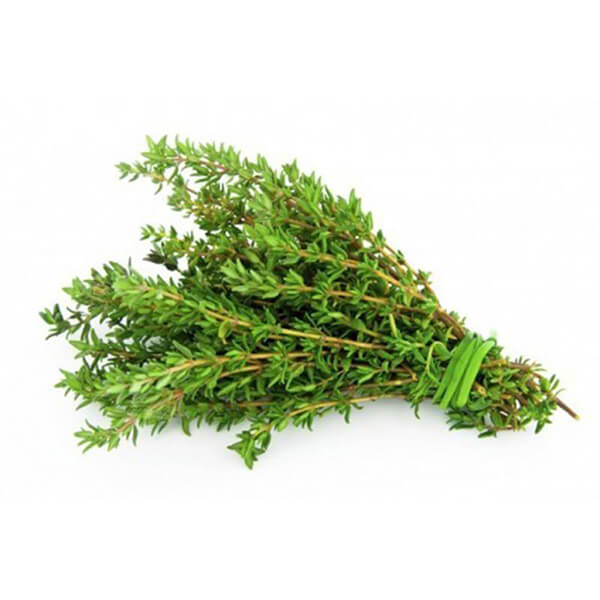 Fresh-Thyme