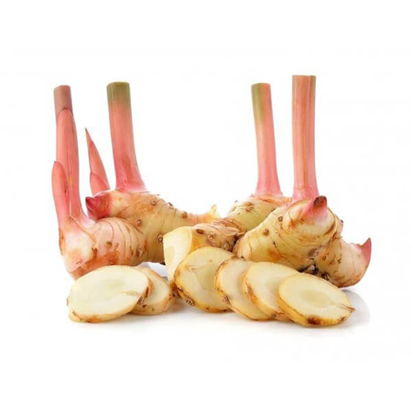 Galangal