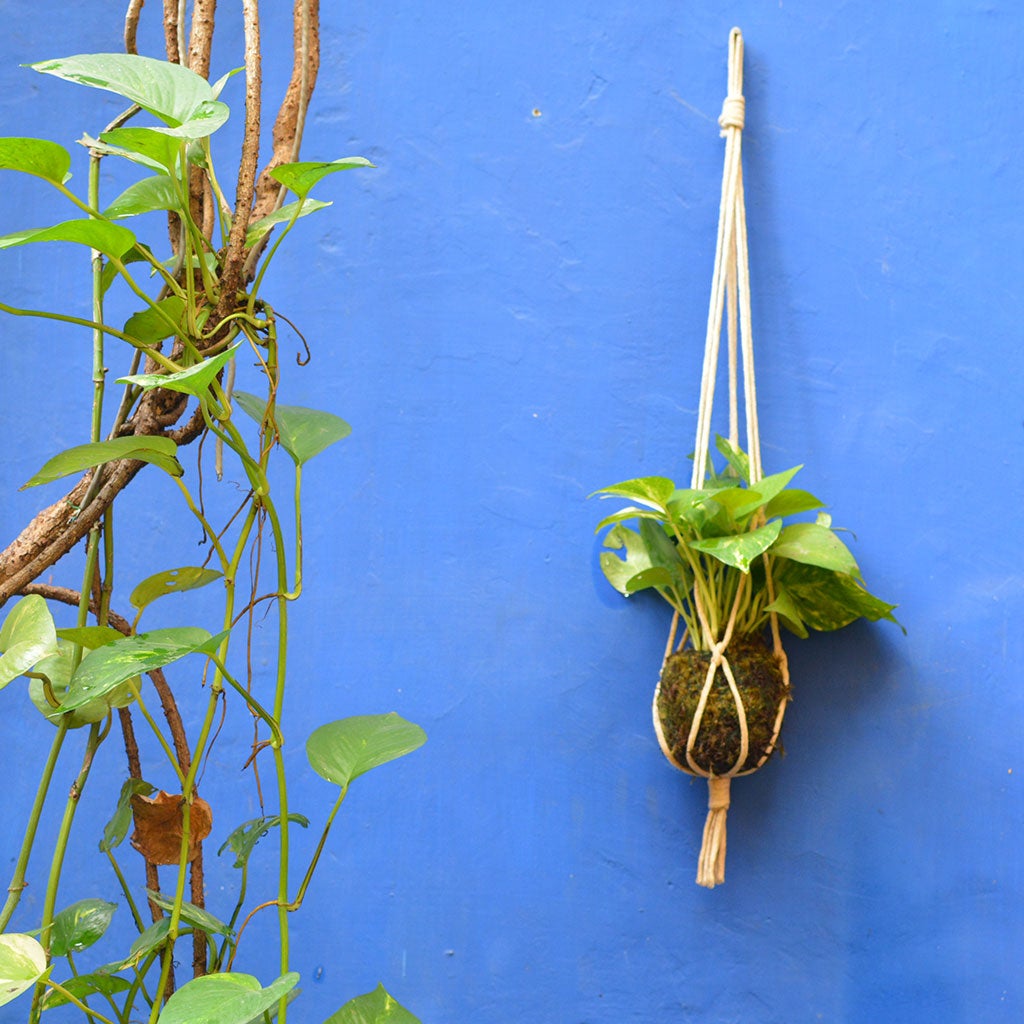 Xotinning tashrifi haqida porno hikoyalar Oksana bilan porno video