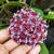 Hoya Pubicalyx "Red Buttons"