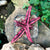 Cryptanthus Bivittatus - Red Star