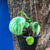 Peperomia Argyreia (Watermelon)