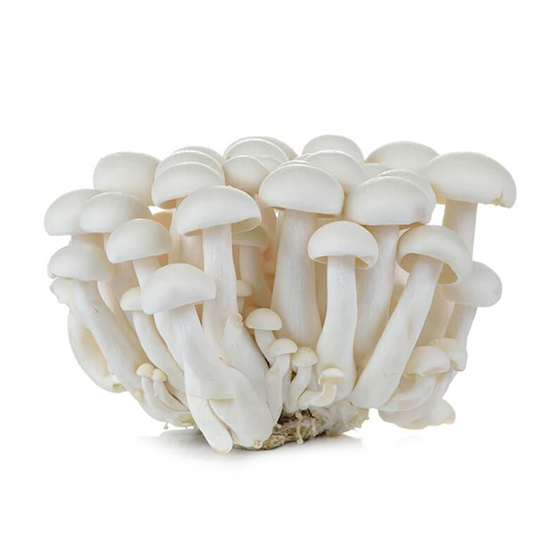 Imported White Shimeji Mushrooms