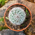 Mammillaria hahniana - Old Lady Cactus