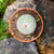 Mammillaria parkinsonii - Owl Eye Cactus