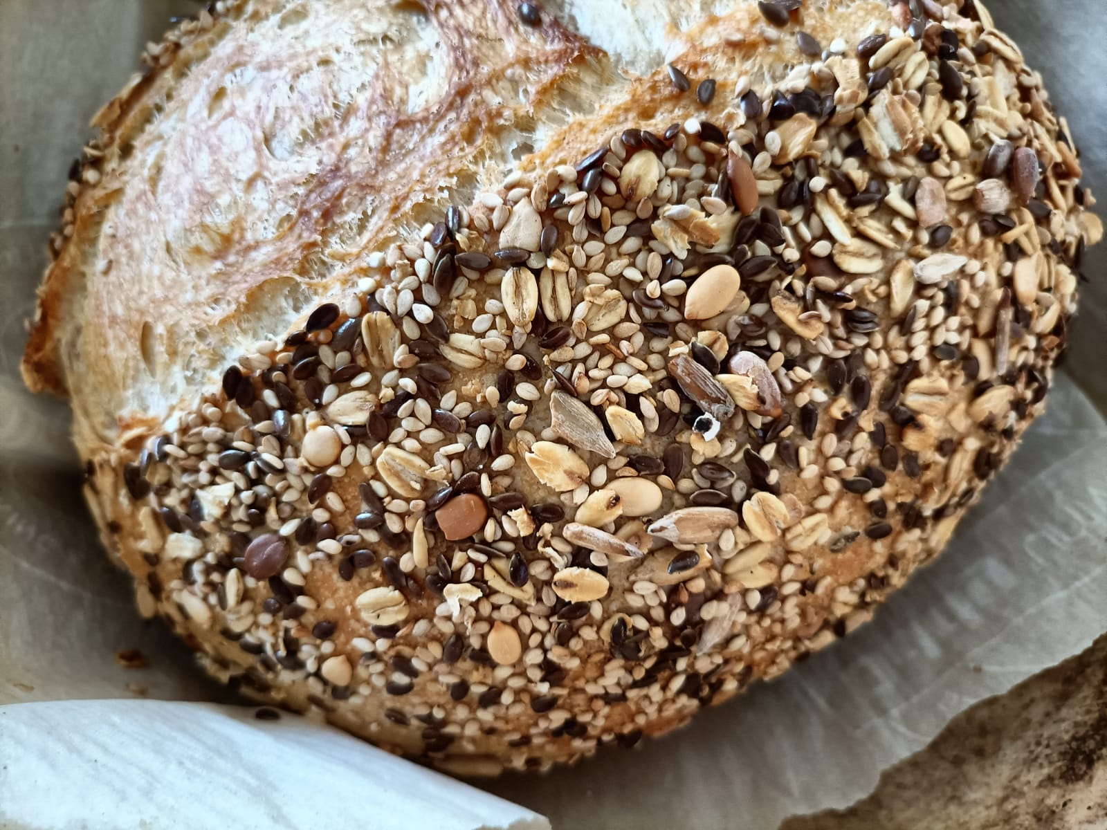 Multigrain Sourdough (vegan)