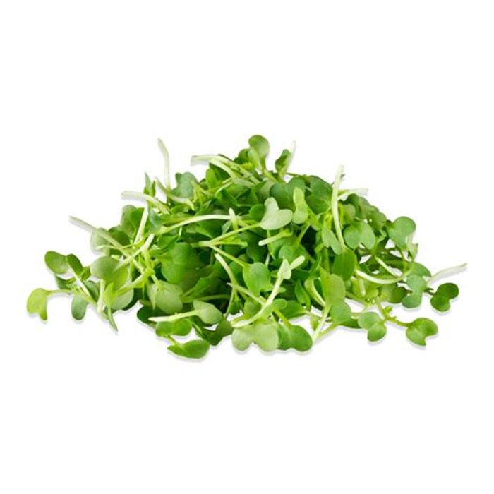 Mustard microgreens