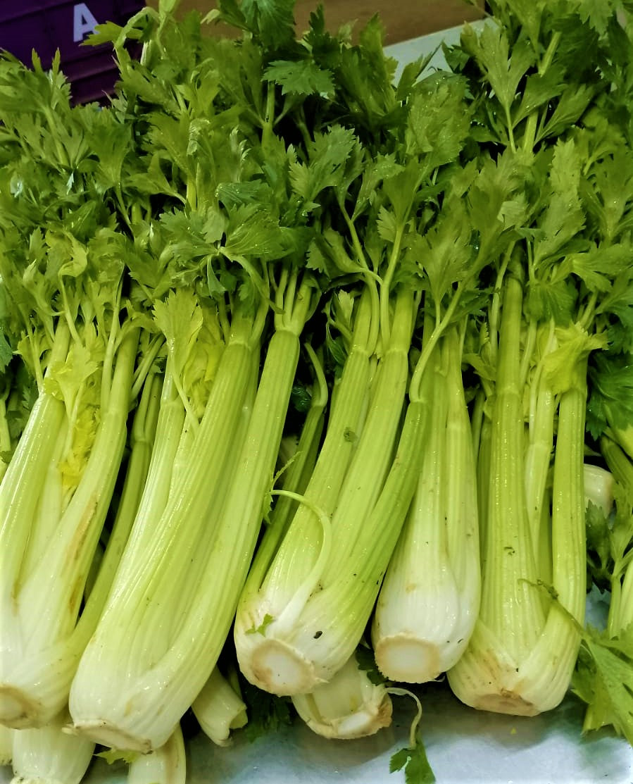 Ooty Celery