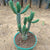 Austrocylindropuntia cylindrica-Cane Cactus