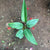 Philodendron Diflexum