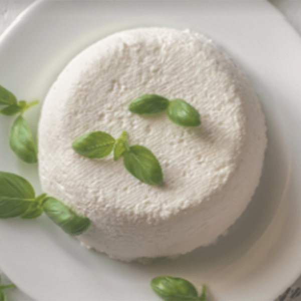 Ricotta