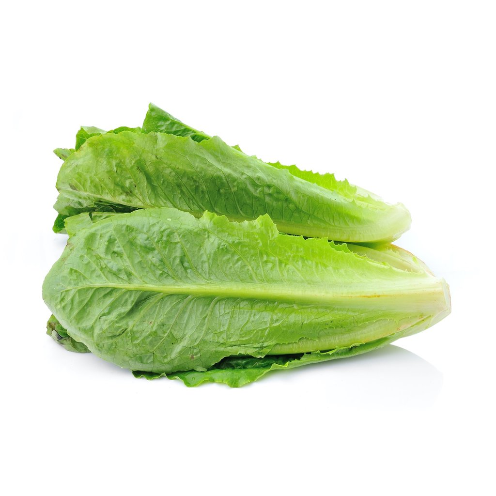 Lettuce - Romaine