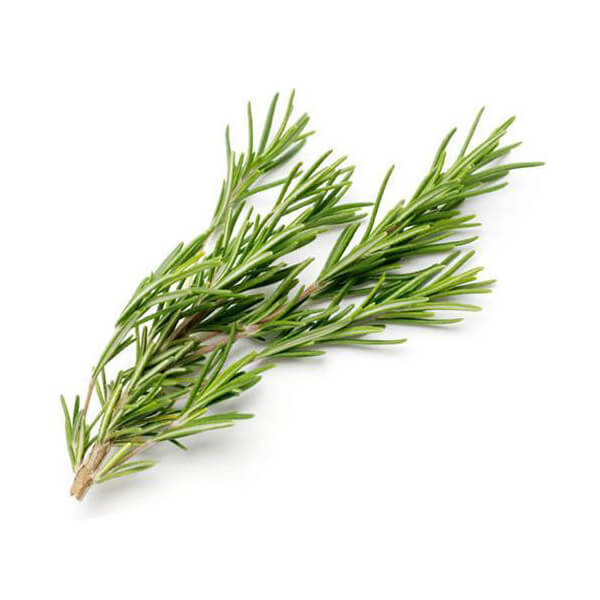 Rosemary