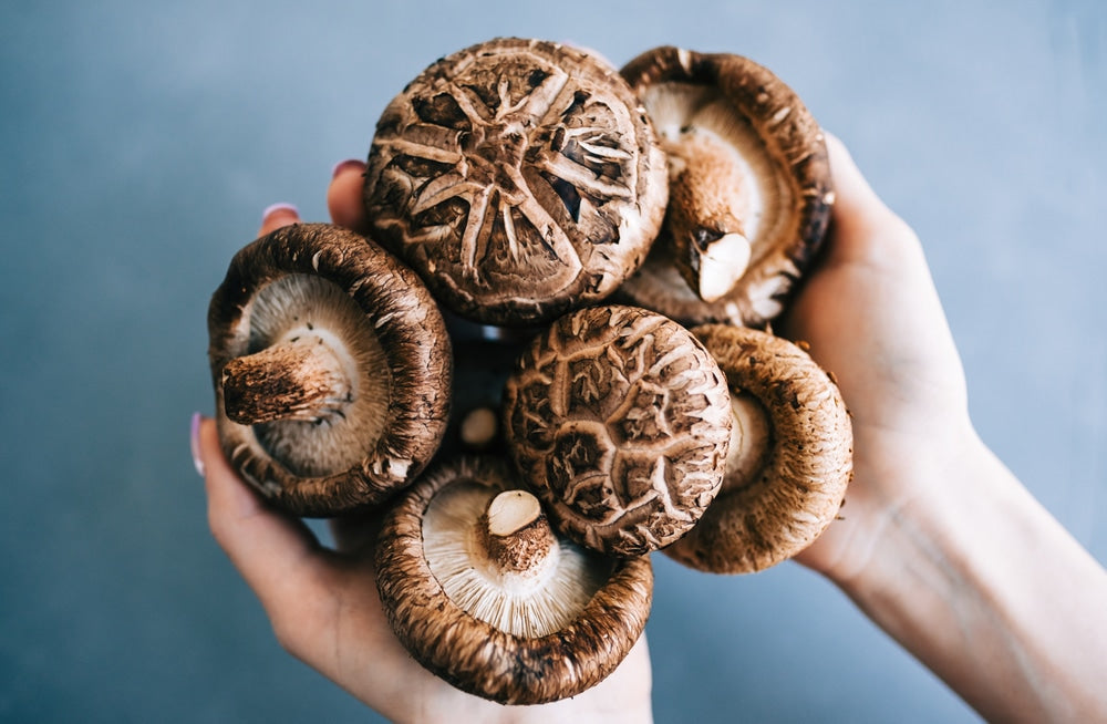 Shiitake Mushrooms
