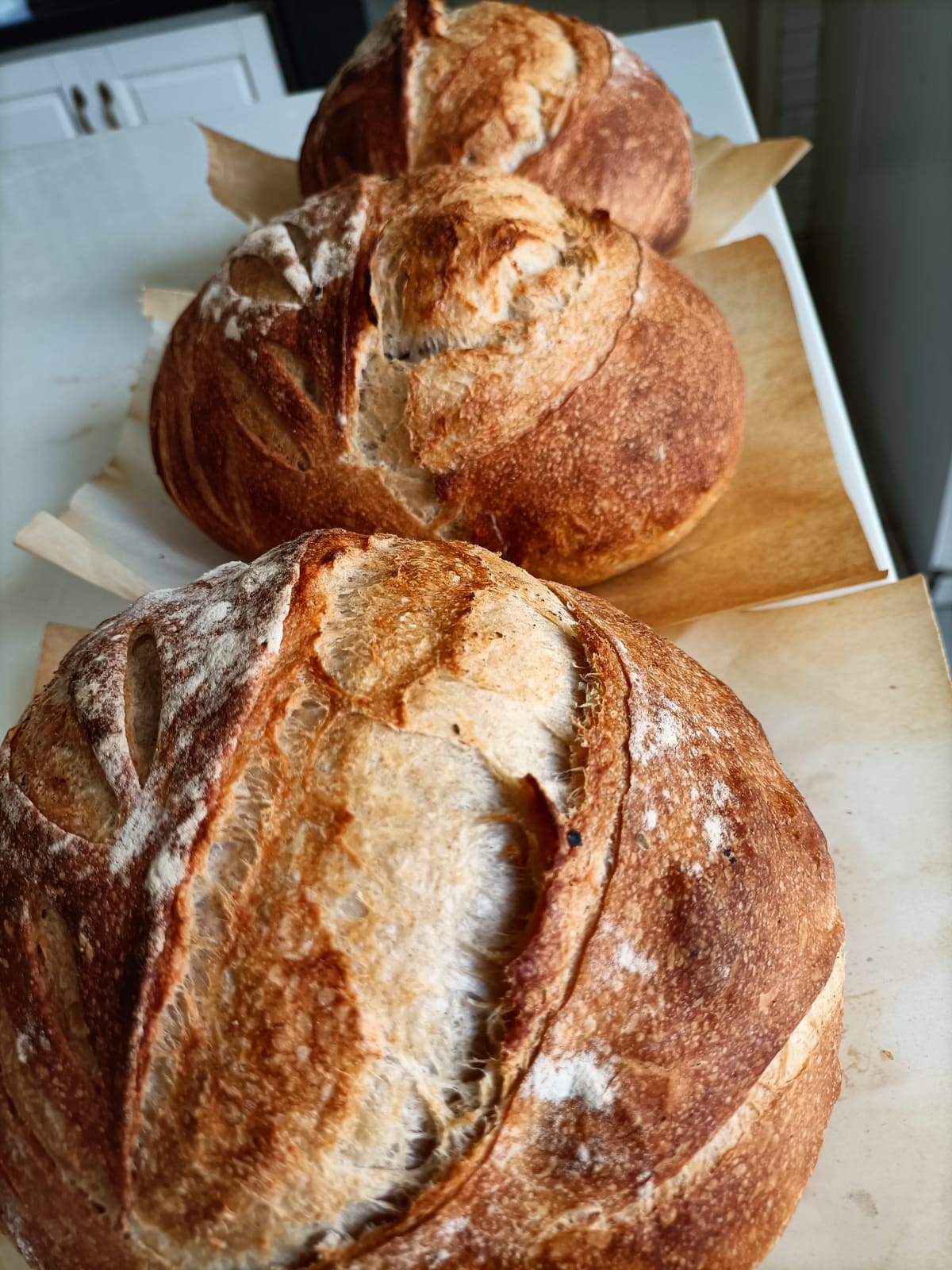 Sourdough (vegan)