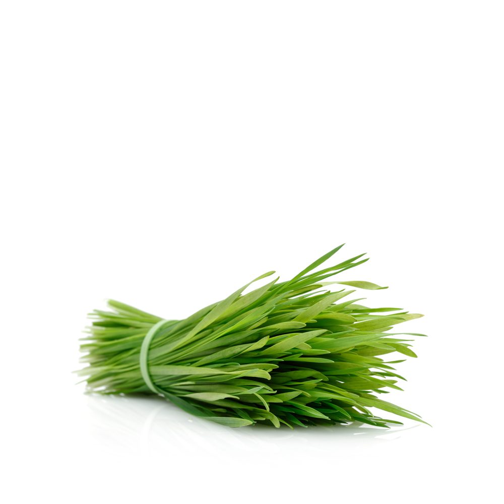 Wheatgrass
