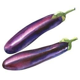 Brinjal long
