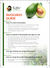 Avocado A Grade - Coorg/Kodai variety (Pre order)