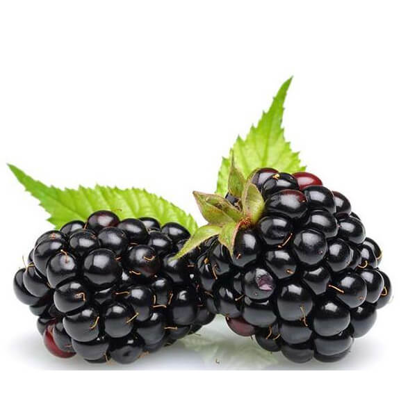 blackberries