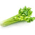 fresh-celery