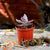 Kalanchoe Humilis - Desert Surprise Plants myBageecha - myBageecha