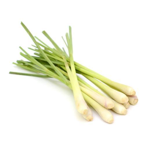 Lemon grass