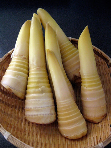 Bamboo shoot