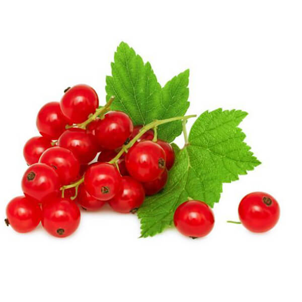 red-currant