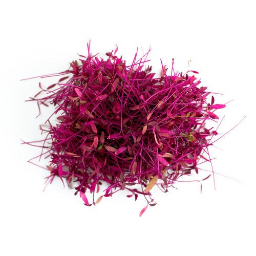 Amaranthus Red Microgreens